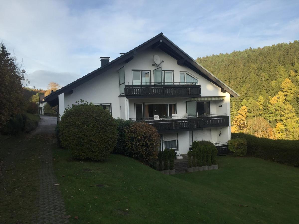 Ferienwohnungen Lang Willingen  Zewnętrze zdjęcie