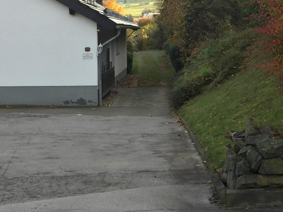 Ferienwohnungen Lang Willingen  Zewnętrze zdjęcie