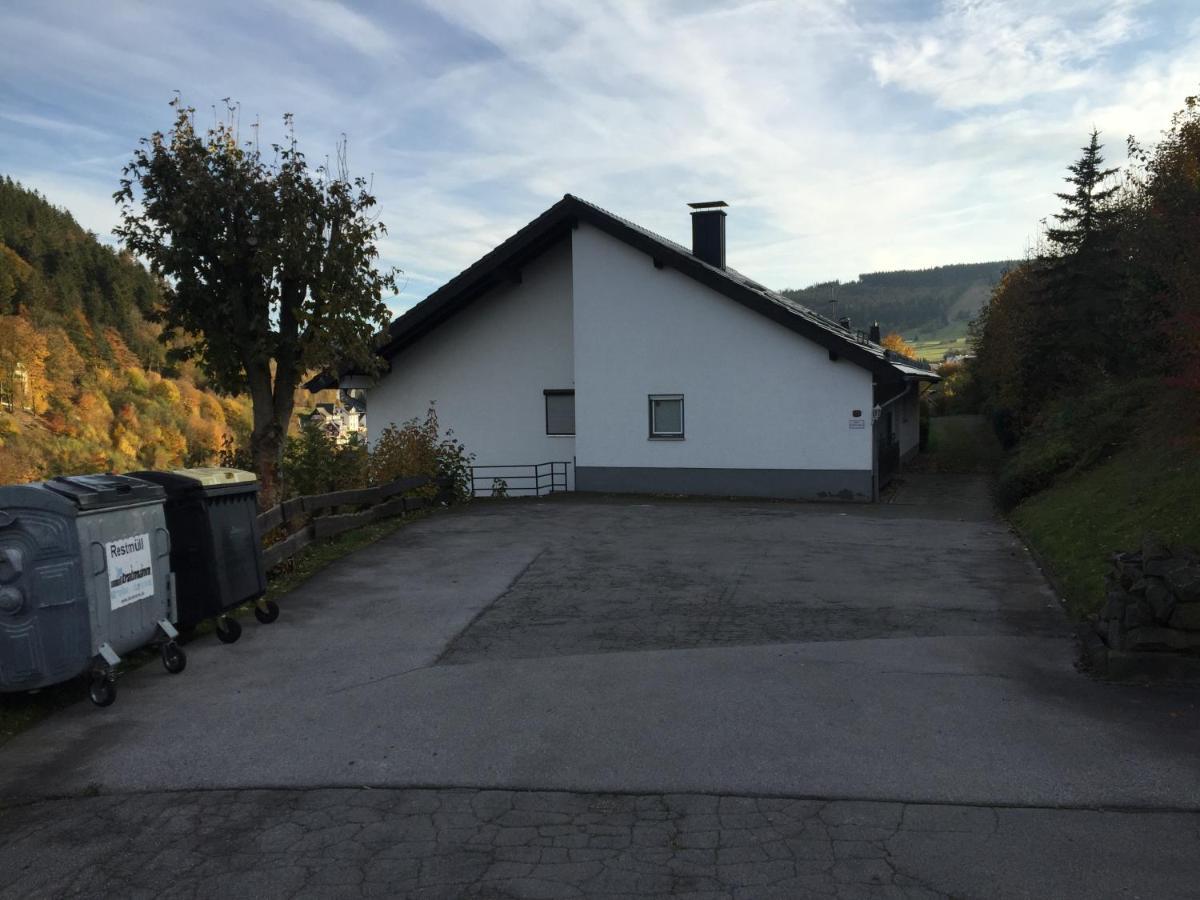 Ferienwohnungen Lang Willingen  Zewnętrze zdjęcie