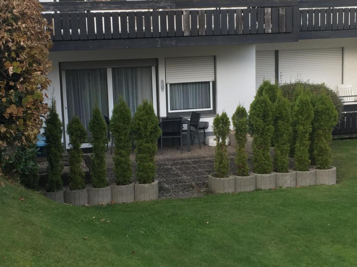 Ferienwohnungen Lang Willingen  Zewnętrze zdjęcie