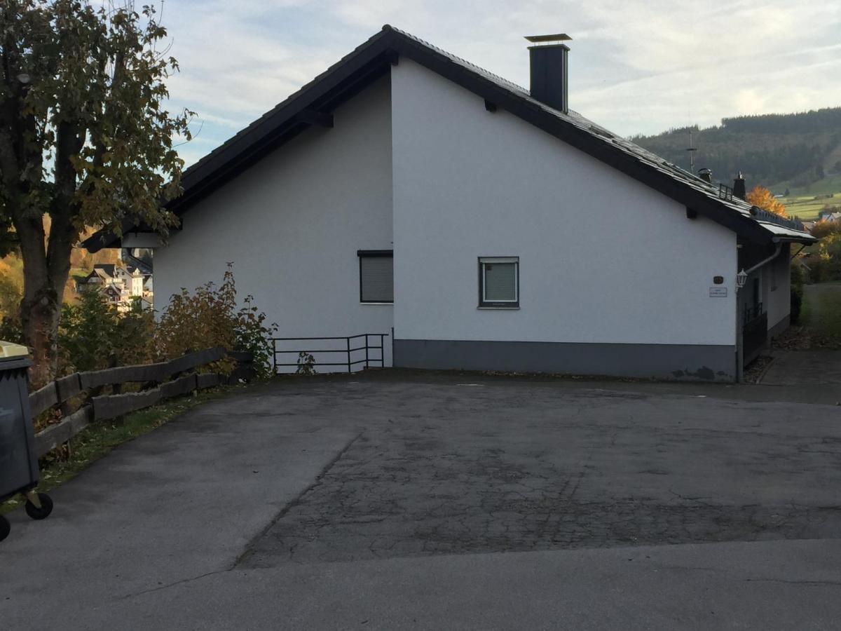 Ferienwohnungen Lang Willingen  Zewnętrze zdjęcie